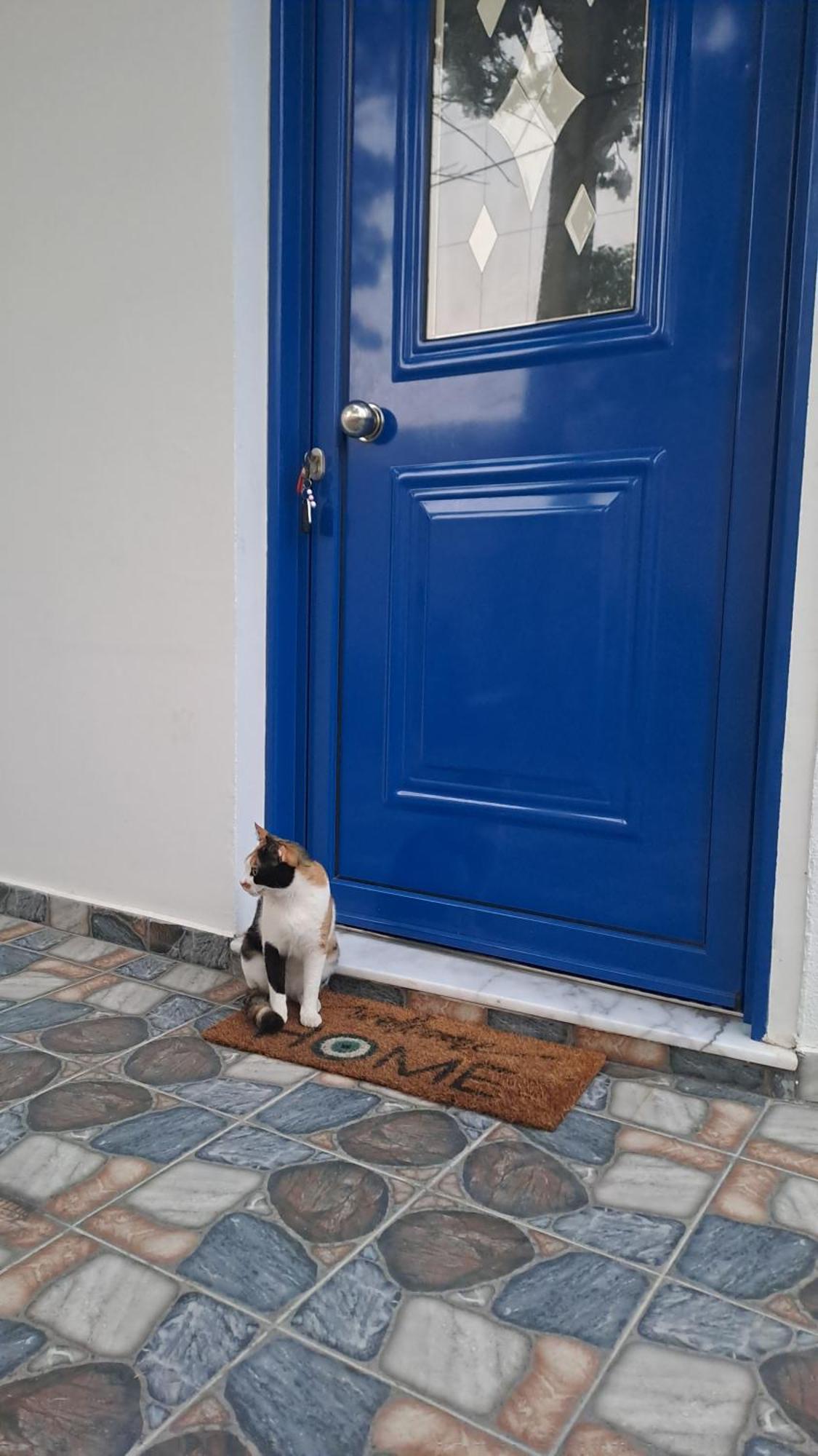Willa Deja Blue Archangelos  Zewnętrze zdjęcie